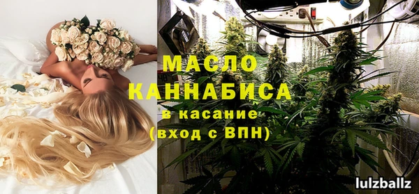 хмурый Инта