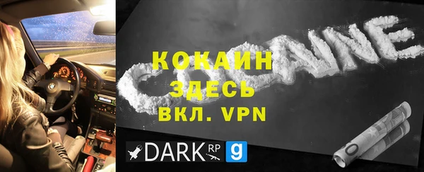 гашик Инсар