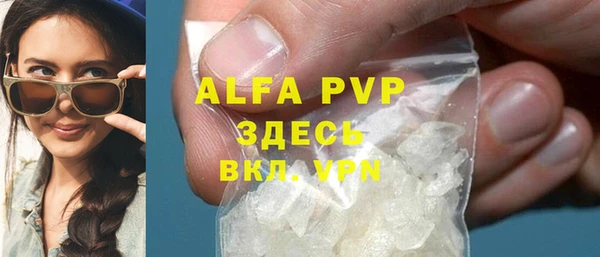 гашик Инсар