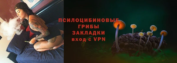 гашик Инсар