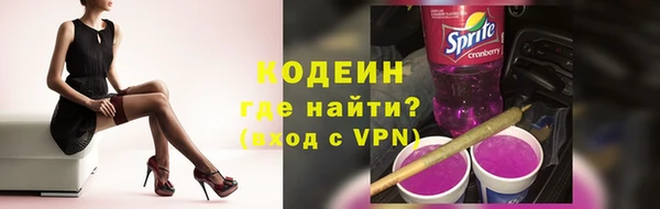 хмурый Инта