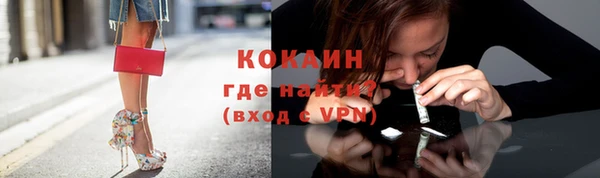 хмурый Инта