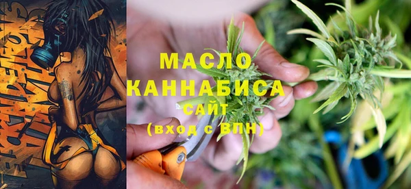 гашик Инсар
