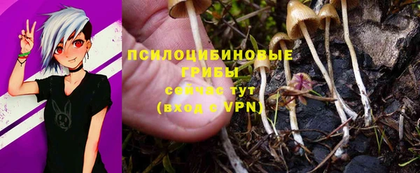 МДПВ Иннополис