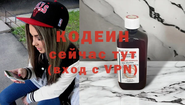 крисы Каменногорск