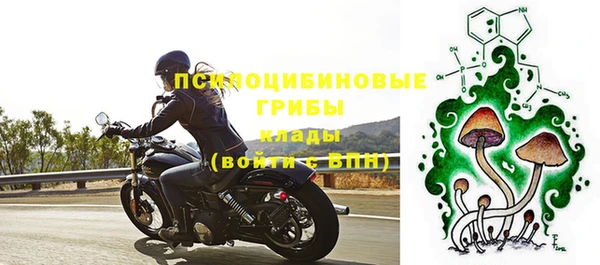 МДПВ Иннополис