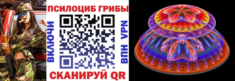 Купить где  Белёв  Псилоцибиновые грибы мицелий 